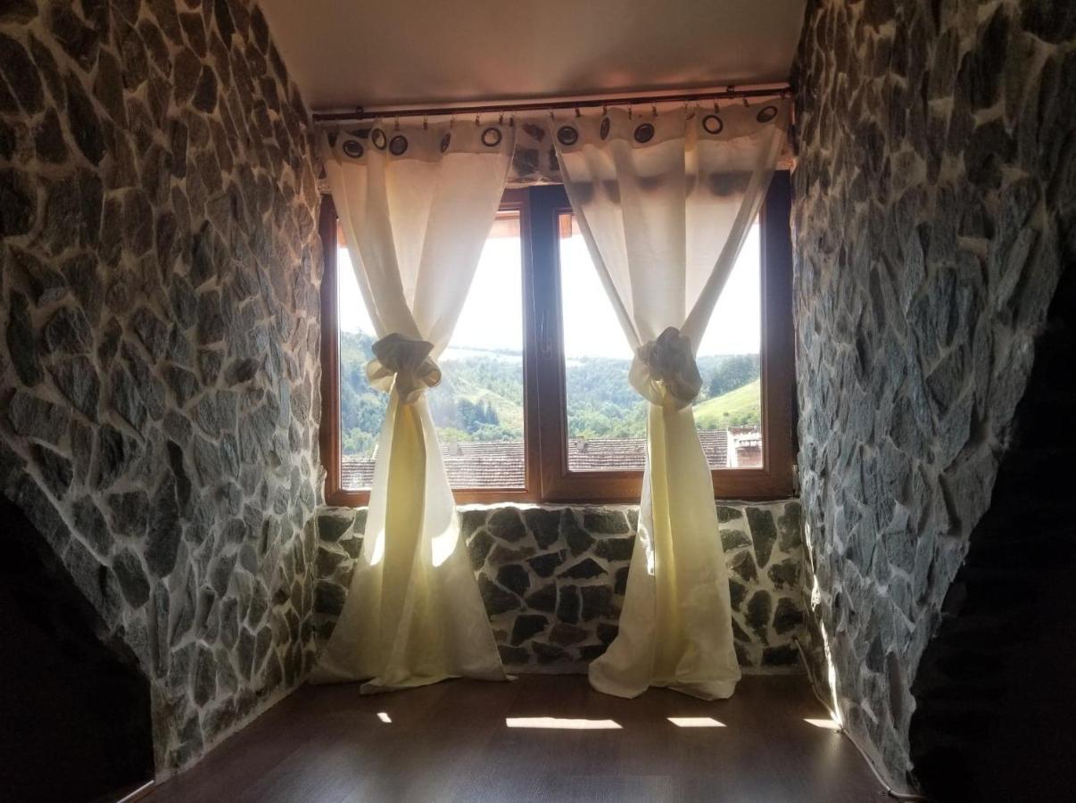 فيلا Mehadica House المظهر الخارجي الصورة