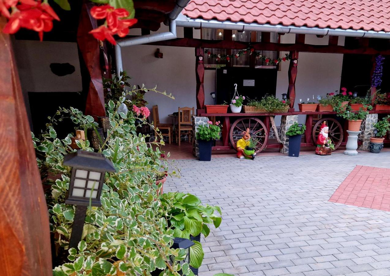فيلا Mehadica House المظهر الخارجي الصورة