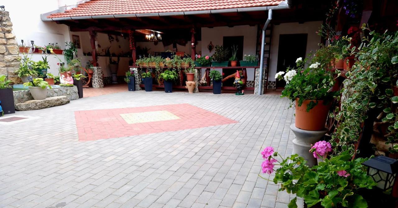 فيلا Mehadica House المظهر الخارجي الصورة